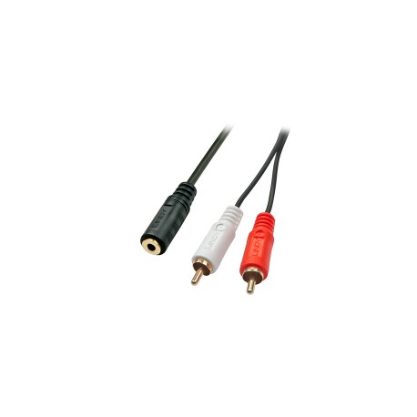 Cavo jack f 3,5 a 2 rca m